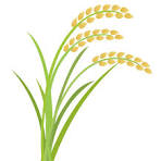 Thumbnail of post image 177